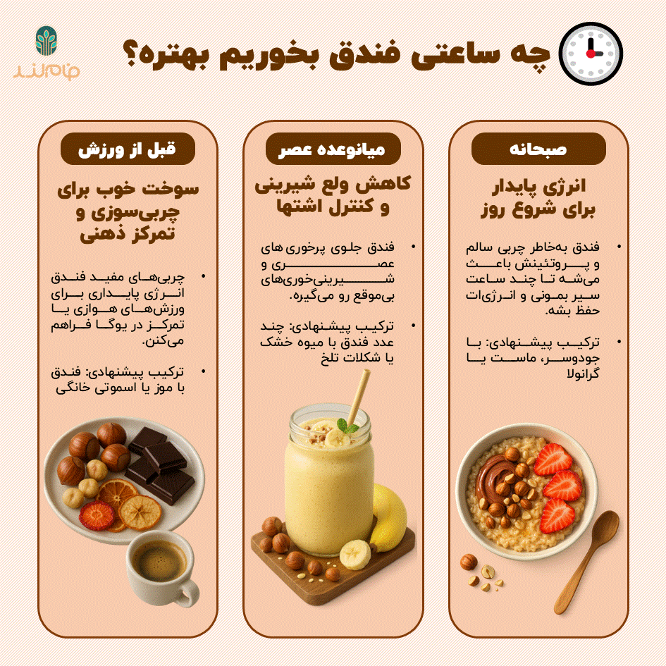 بهترین زمان مصرف فندق در طول روز فام لند