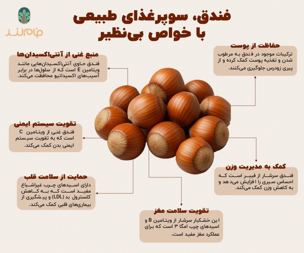 فندق، سوپرغذای طبیعی با خواص بی‌نظیر فام لند