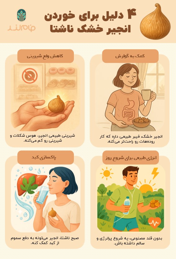 4 دلیل برای خوردن انجیر خشک اینفوگرافی فام لند