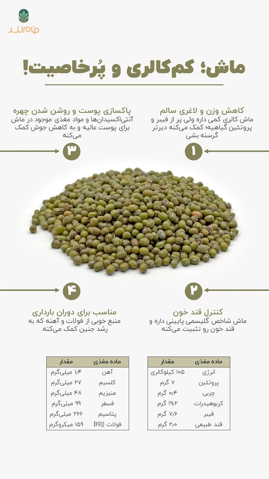 اینفوگرافی خواص و جدول تغذیه ای ماش فام لند