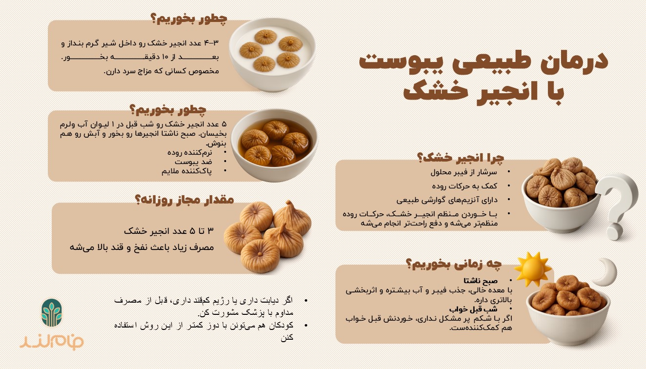 درمان طبیعی یبوست با انجیر خشک اینفوگرافی فام لند