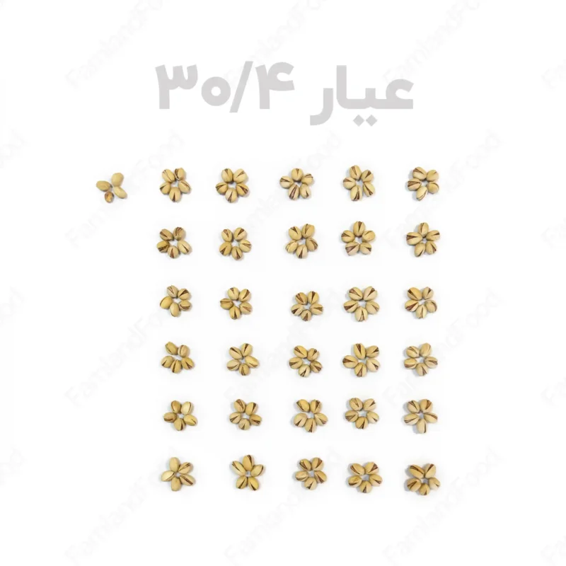 عیار پسته فندقی برشته فام لند