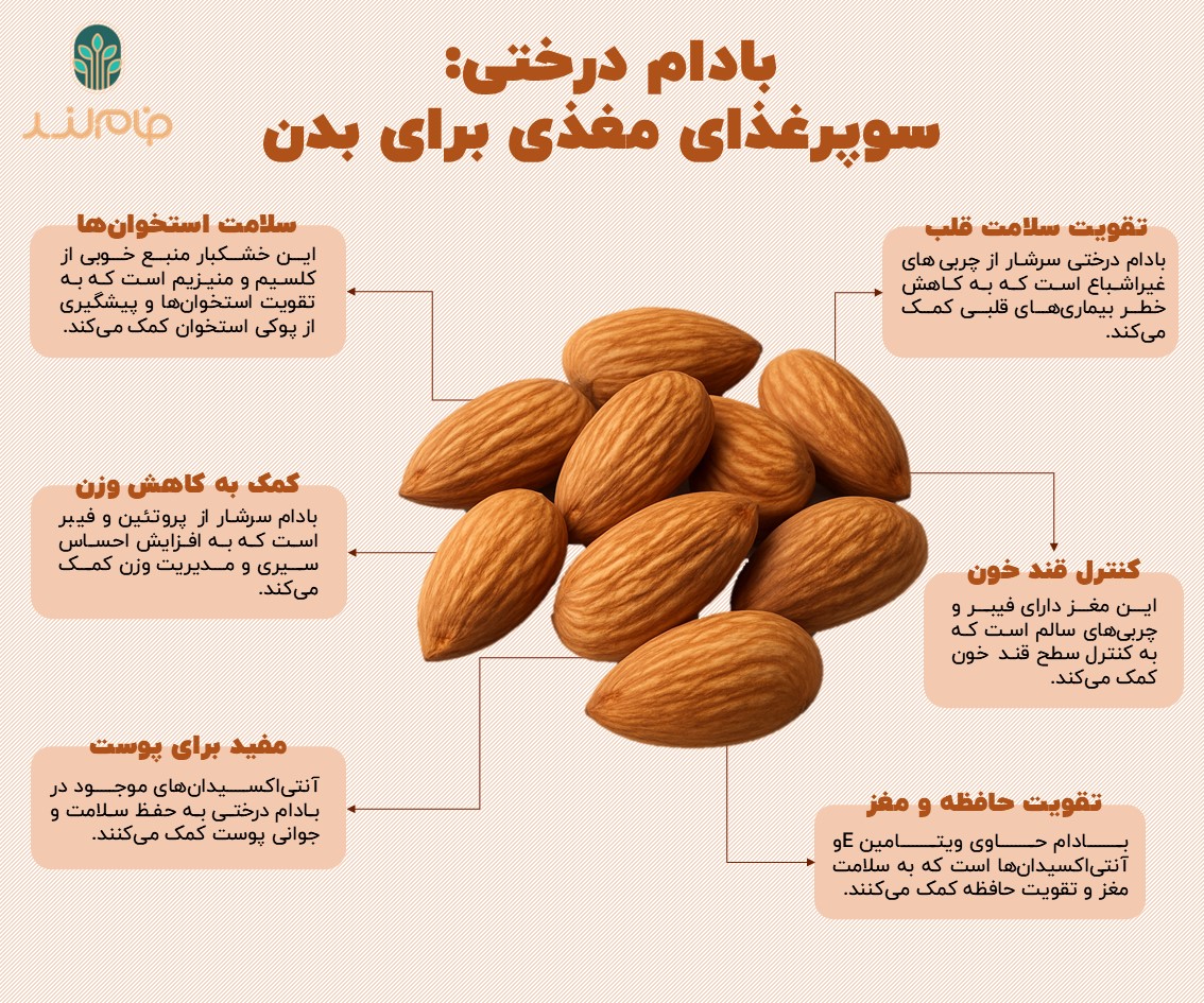 بادام درختی سوپر غذای مغذی برای بدن فام لند