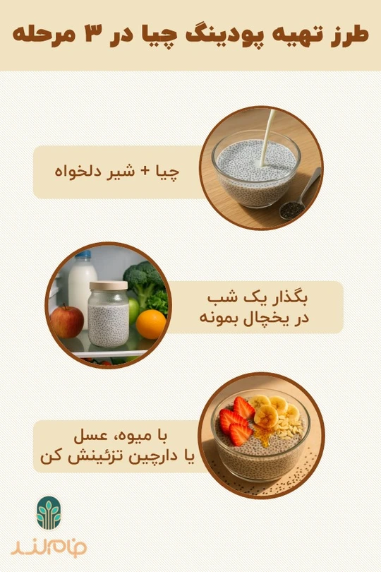 طرز تهیه پودینگ چیا در ۳ مرحله
