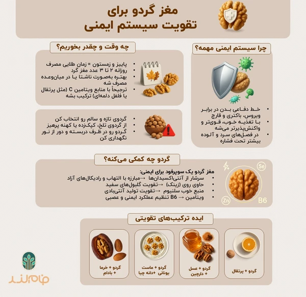 مغز گردو برایتقویت سیستم ایمنی فام لند