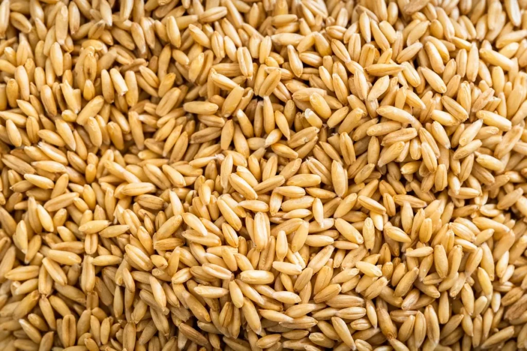 جو دوسر برای لاغری