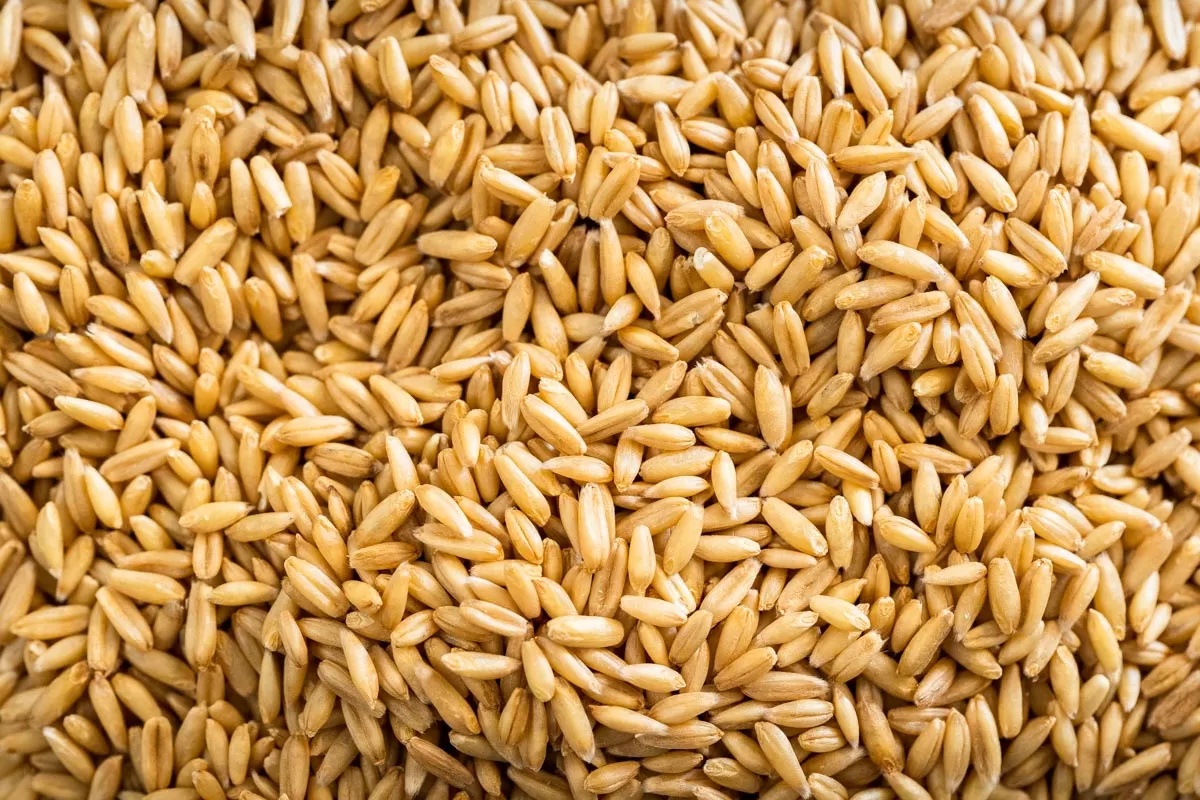 جو دوسر برای لاغری