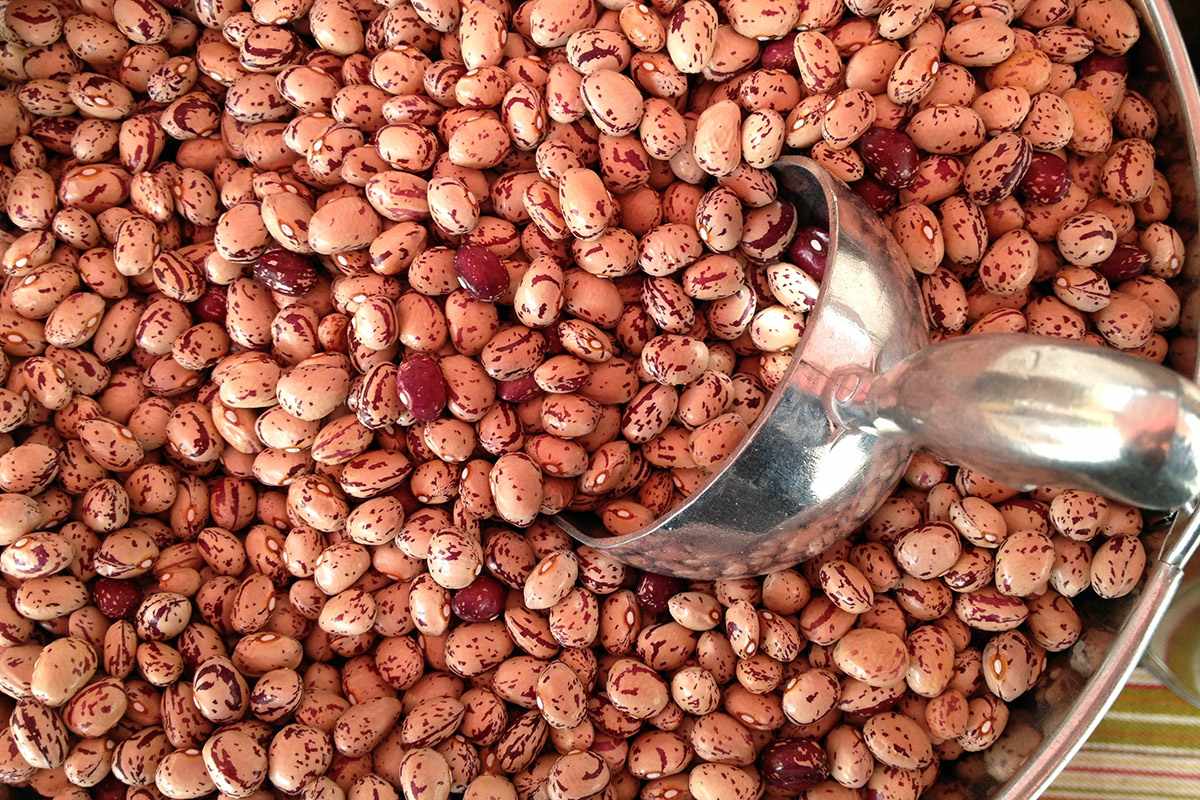 لوبیا چیتی خشک