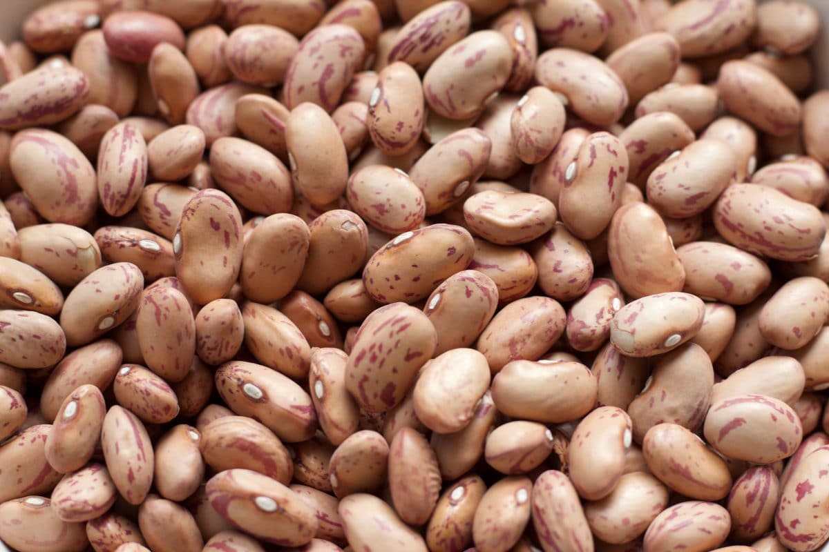 لوبیا چیتی