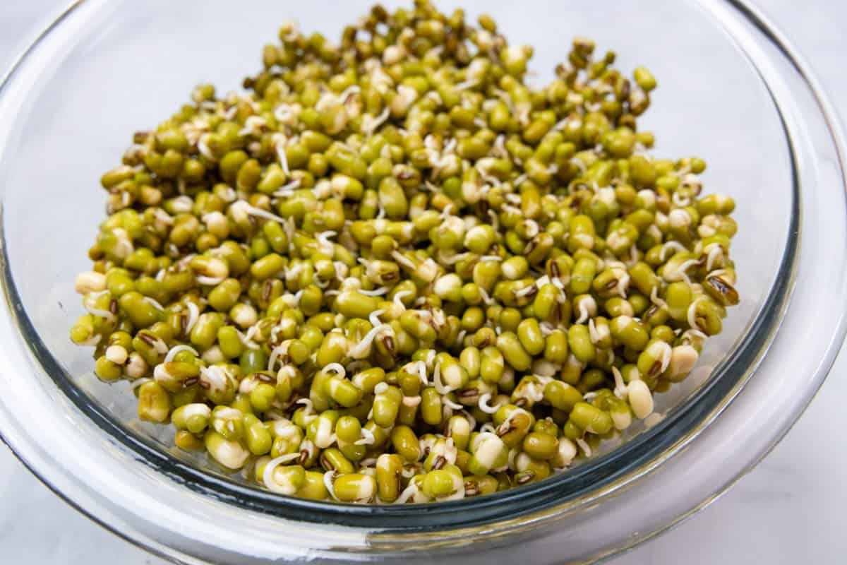 جوانه ماش
