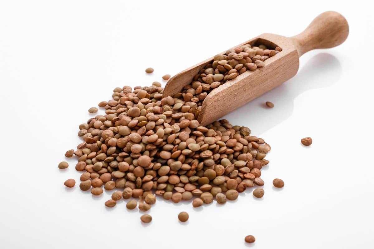 عدس قهوه‌ای