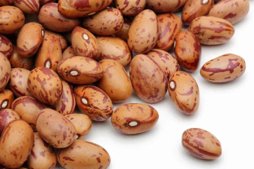لوبیا چیتی