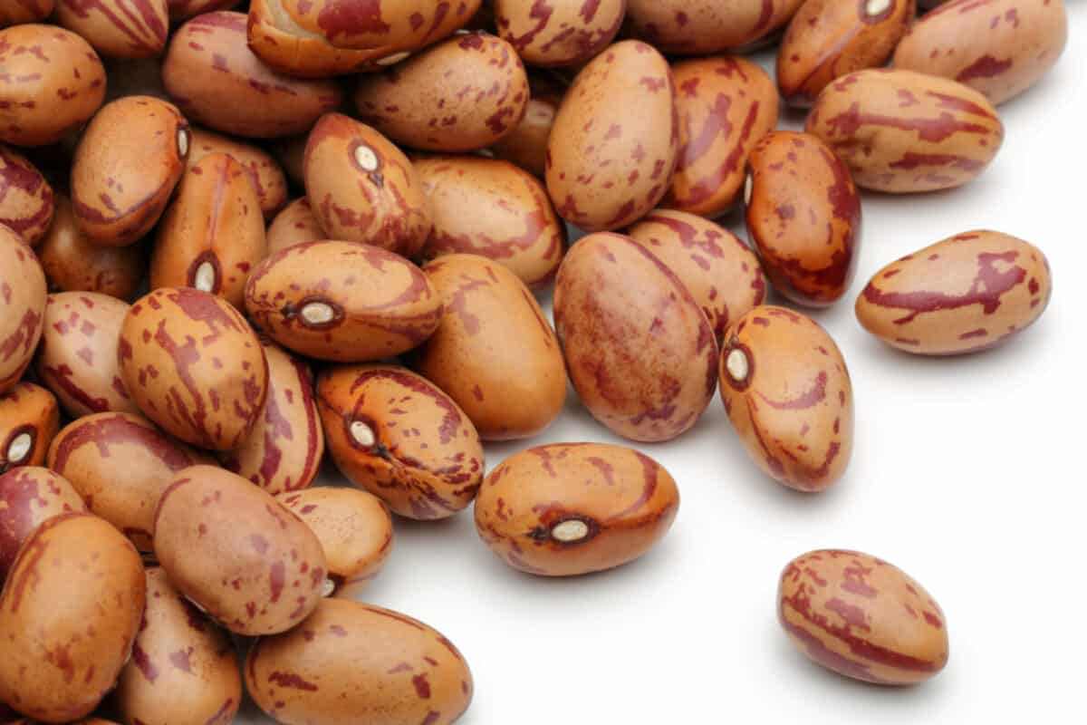 لوبیا چیتی