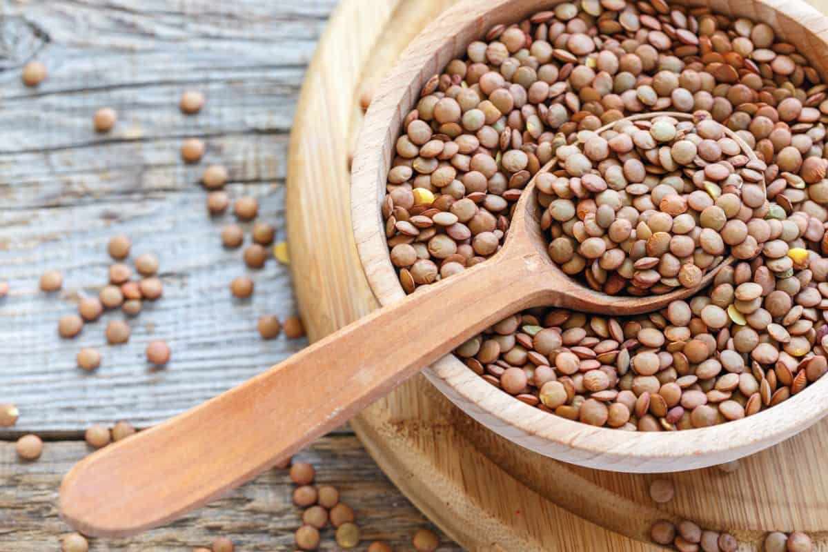 عدس قهوه‌ای