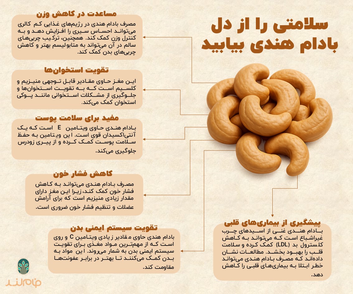 سلامتی را از دل بادام هندی بیابید فام لند