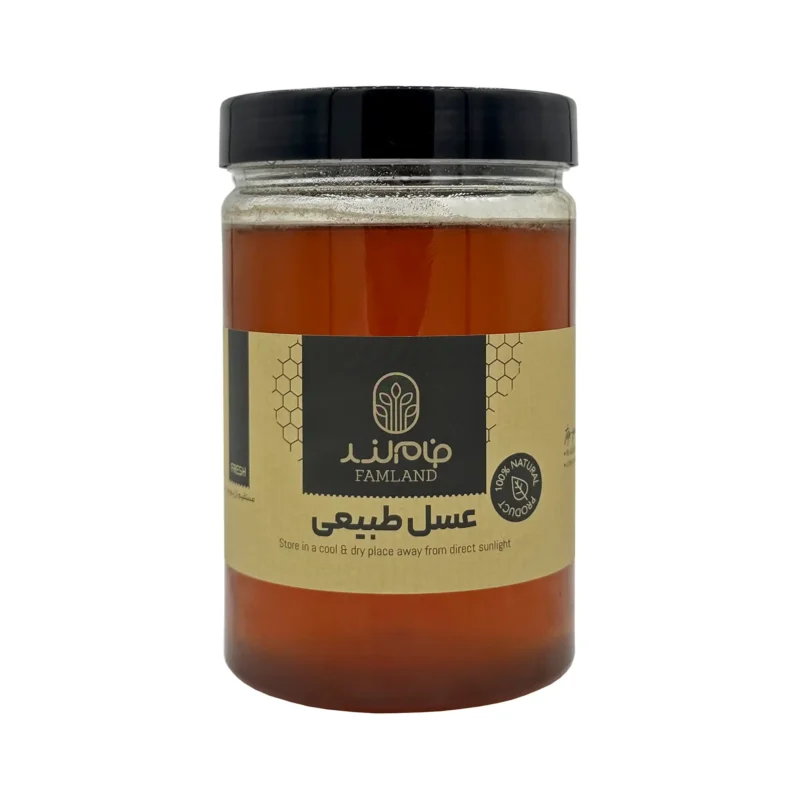 عسل یک کیلویی فام لند