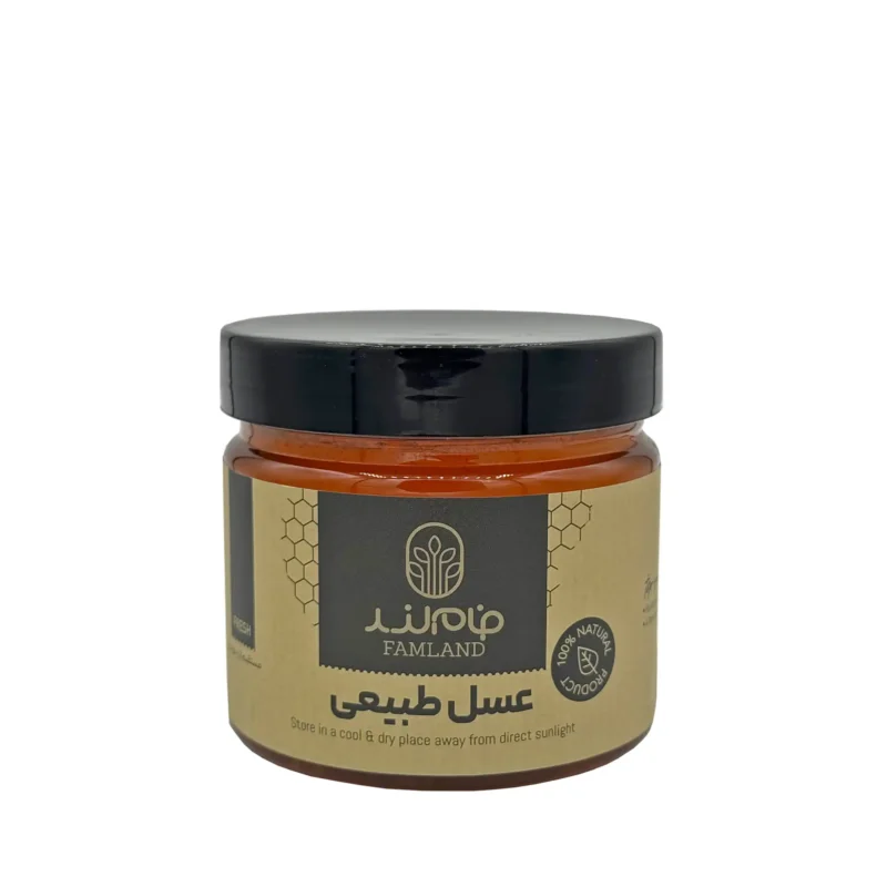عسل 500 گرمی فام لند