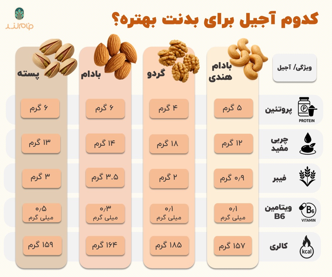 کدوم آجیل برای بدنت بهتره؟ فام لند