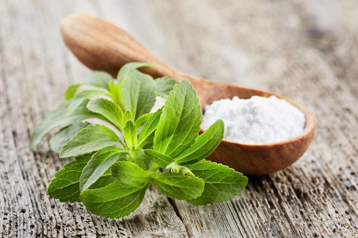 استویا چیست