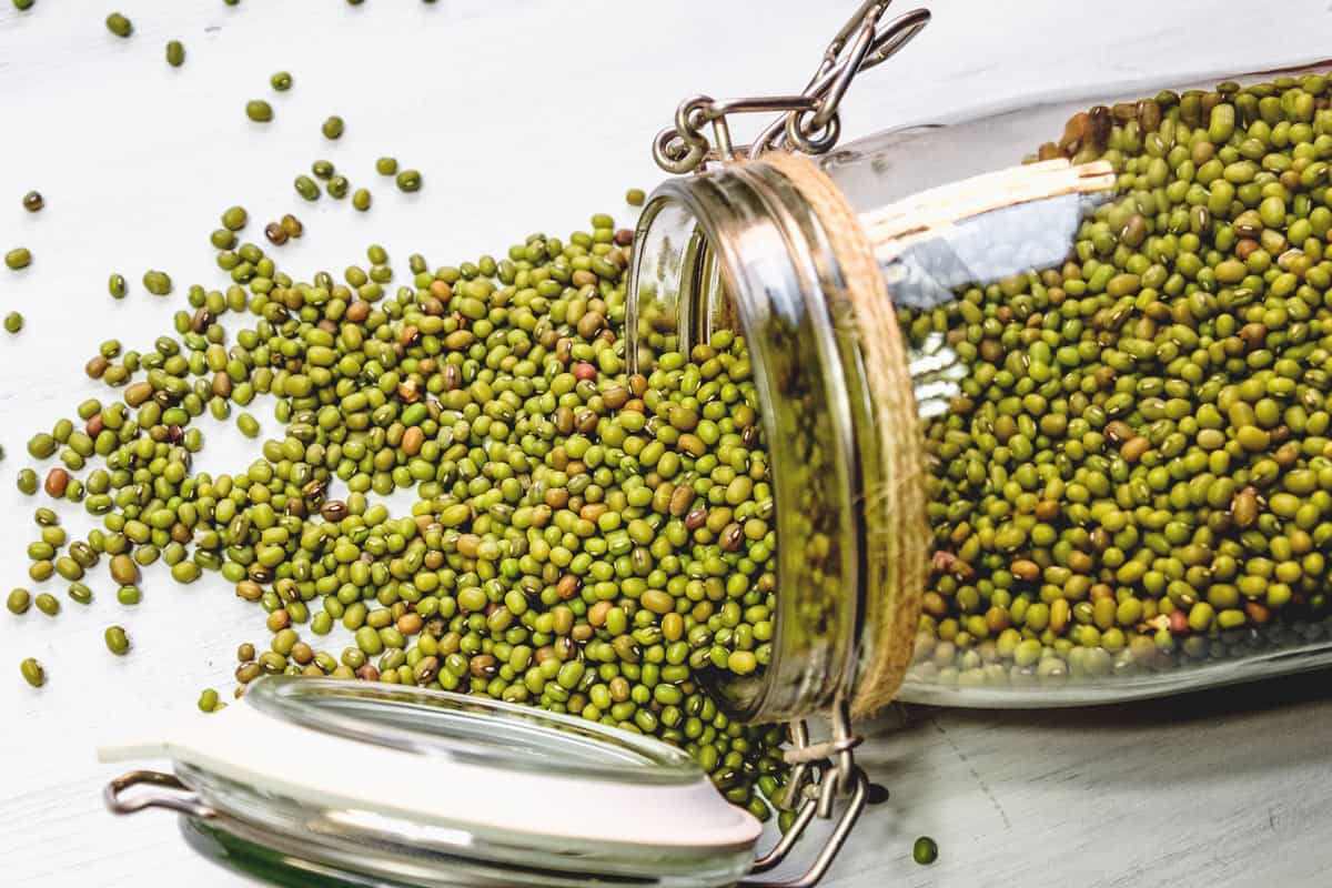 نگهداری ماش
