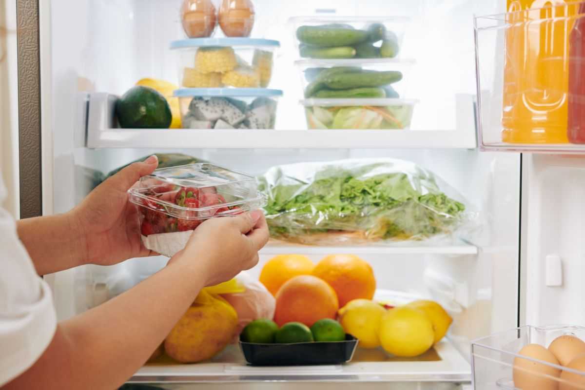 نگهداری مواد غذایی در یخچال 