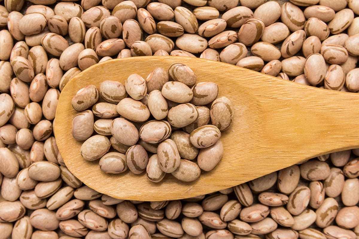 خرید لوبیا چیتی باکیفیت