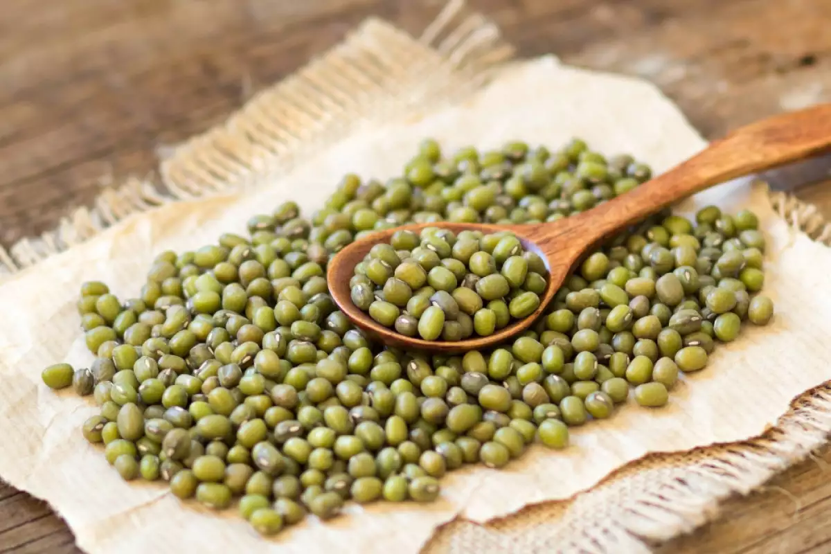 خرید ماش آنلاین