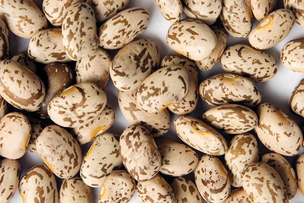 لوبیا چیتی