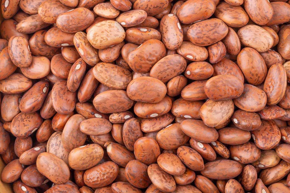 فواید و مضرات لوبیا چیتی