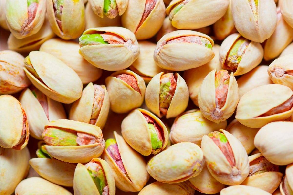 انواع پسته