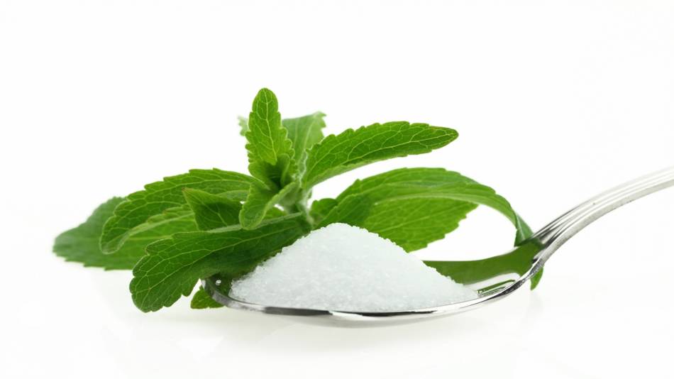 استویا چیه