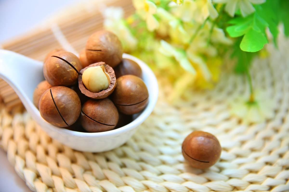 فندق ماکادمیا
