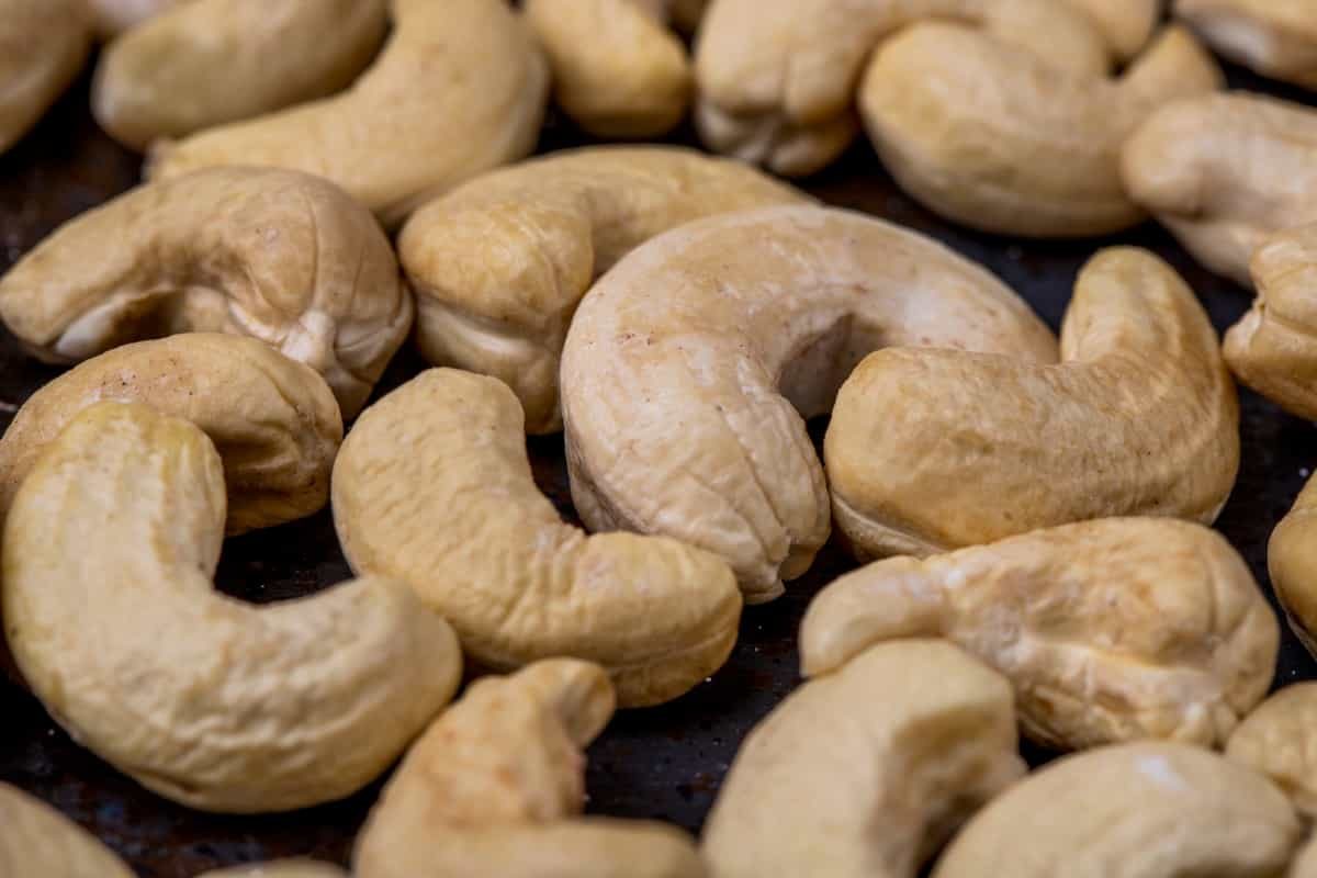 انواع بادام هندی