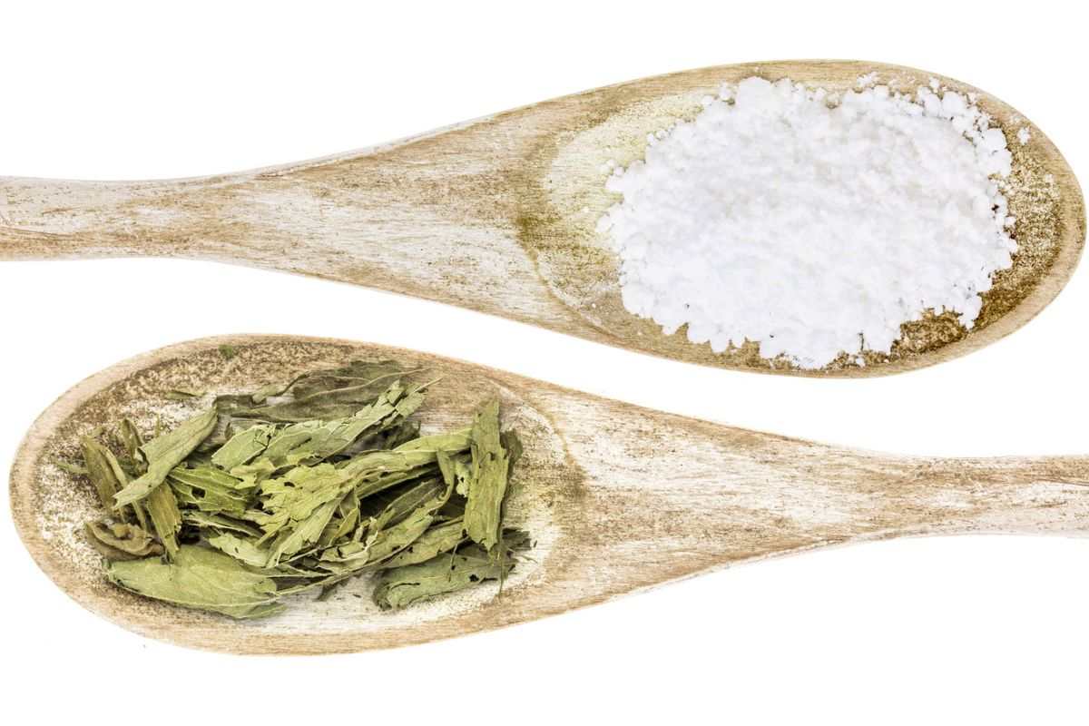 برگ استویا