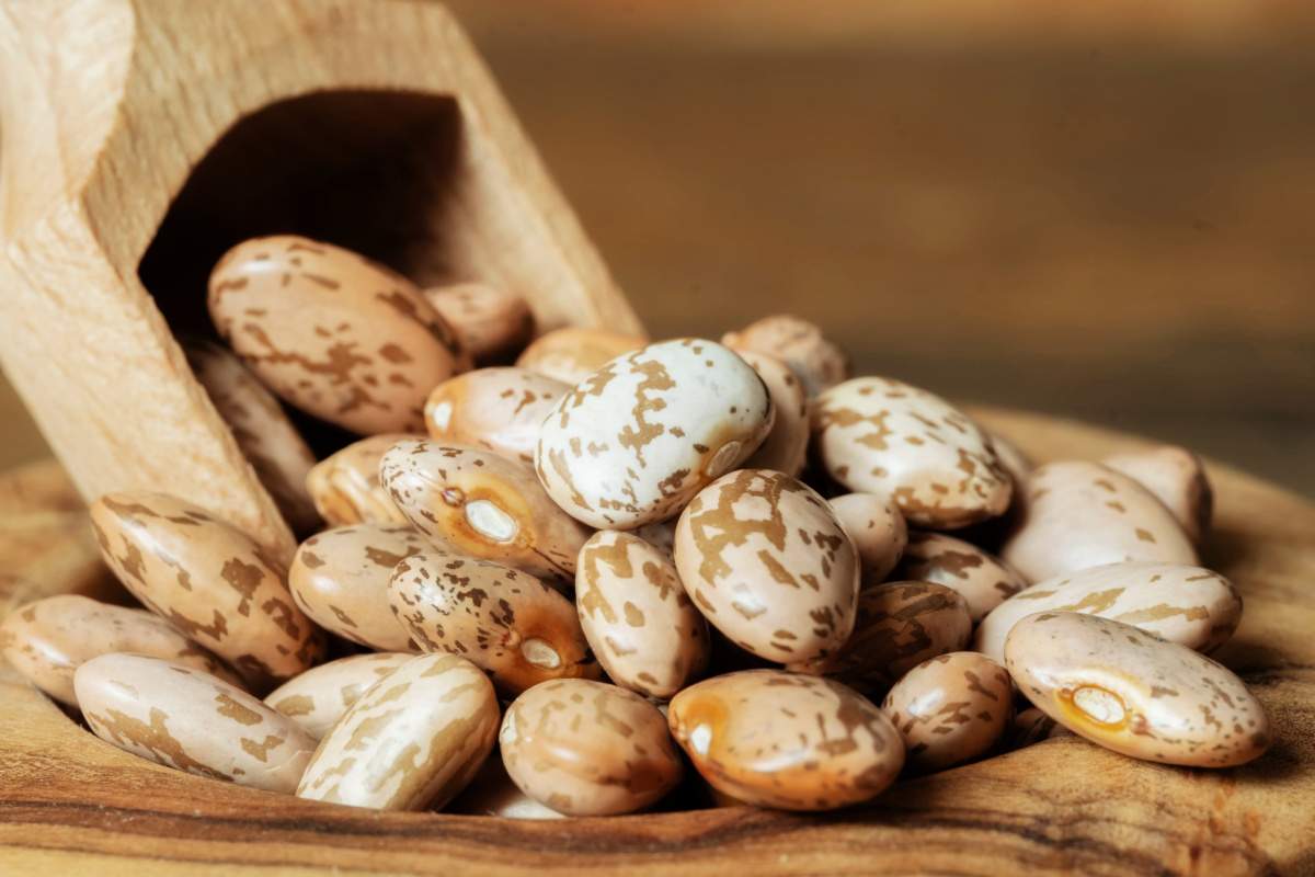 جایگزین لوبیا چیتی