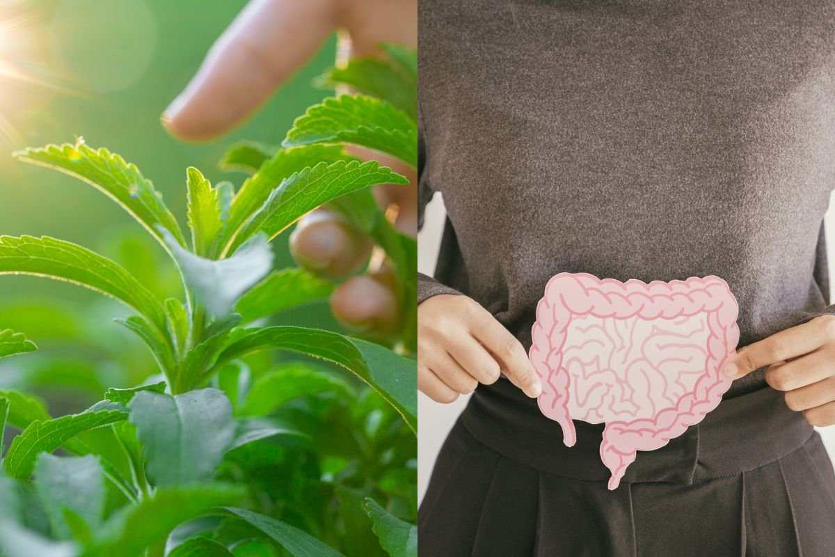 بهبود گوارش با استویا