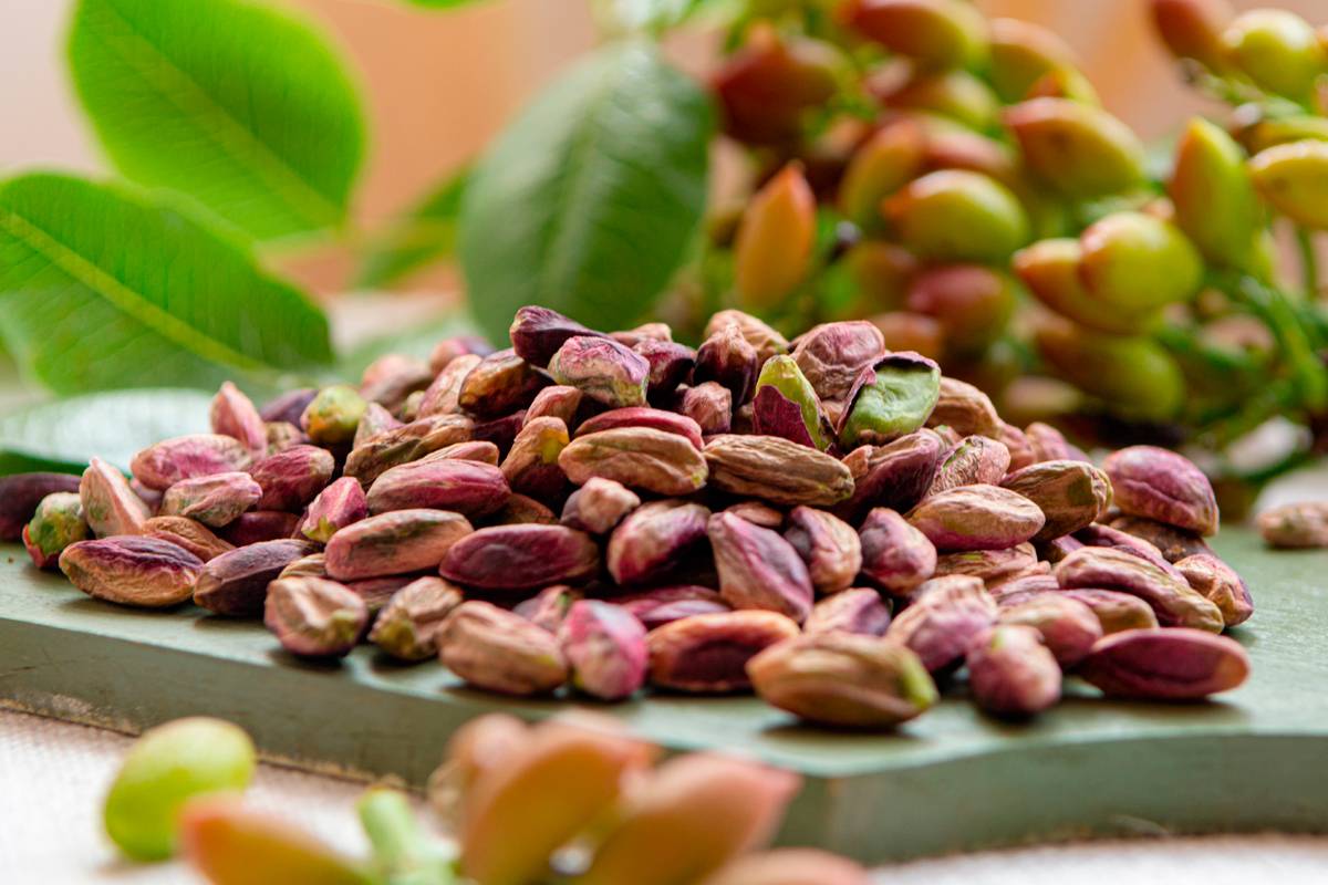 خواص پسته برای قلب
