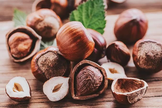 ریز مغذی فندق
