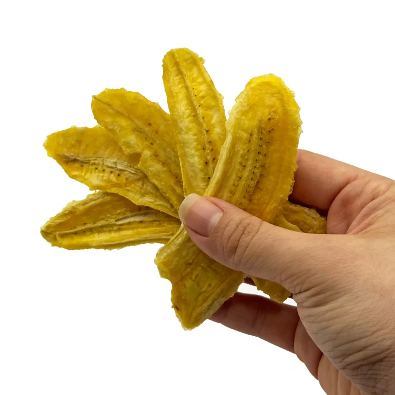 موز خشک فام لند در دست حجم بالا