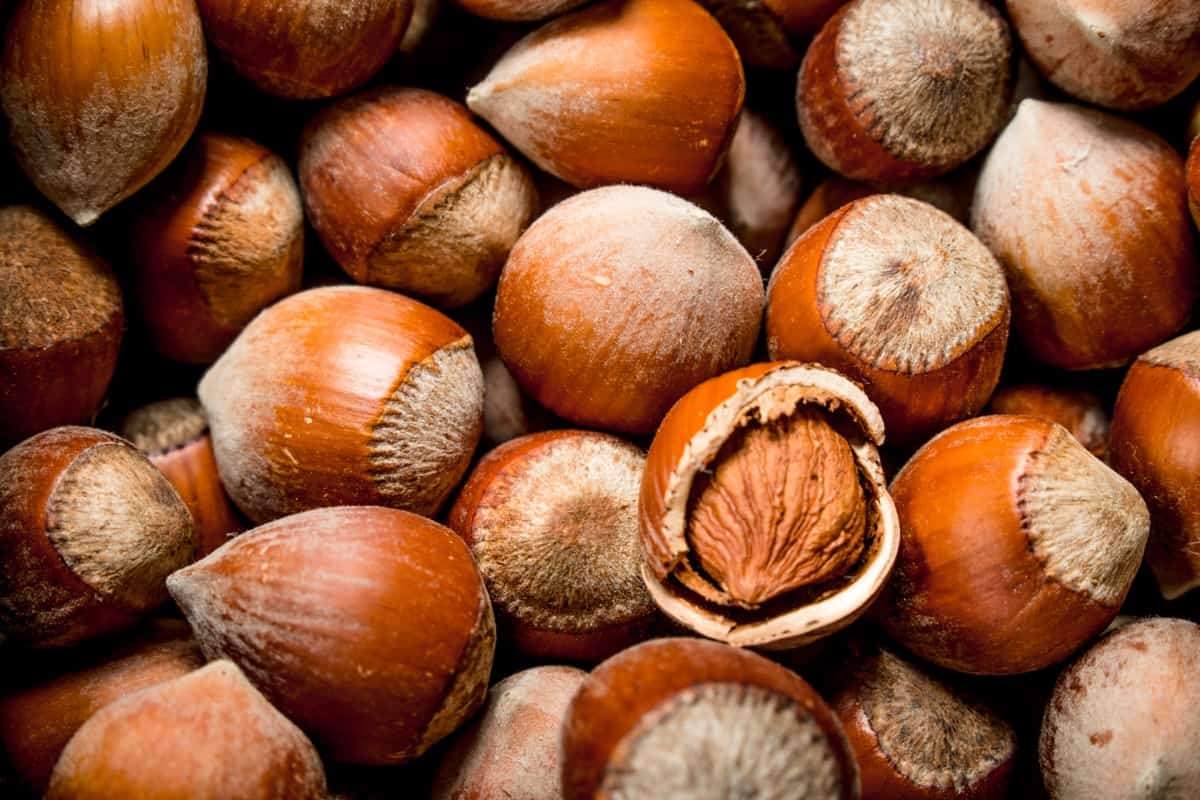 فواید فندق برای پوست