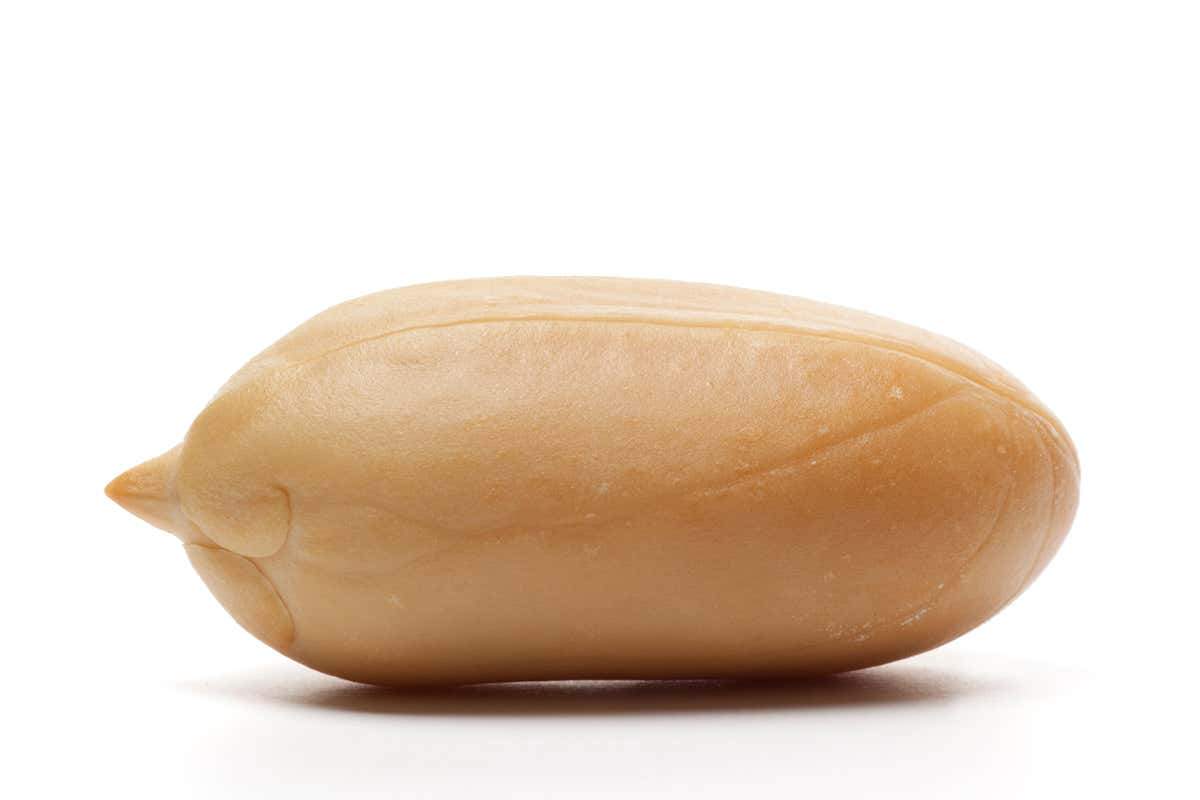 ارزش غذایی بادام زمینی 