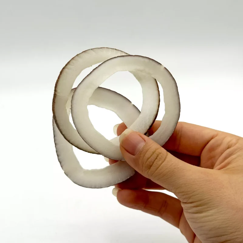 نارگیل خشک فام لند در دست وب