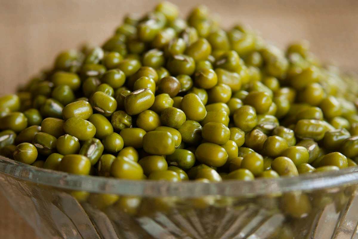 پروتئین ماش 