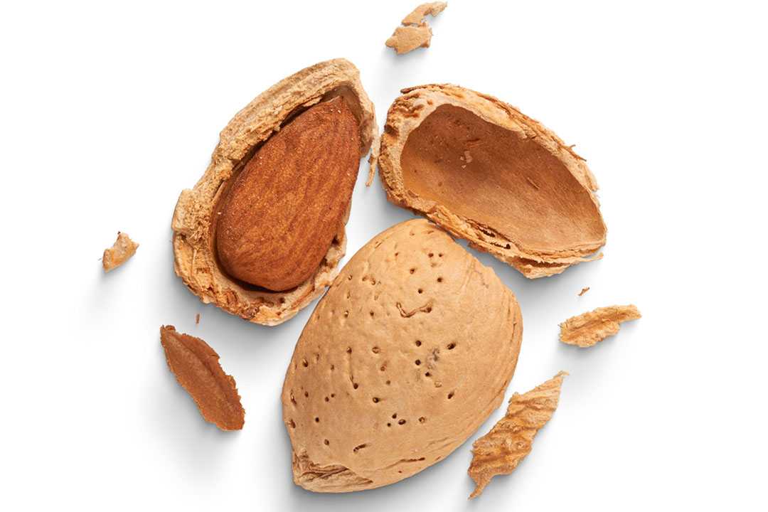 نکات مهم در مصرف بادام سنگی