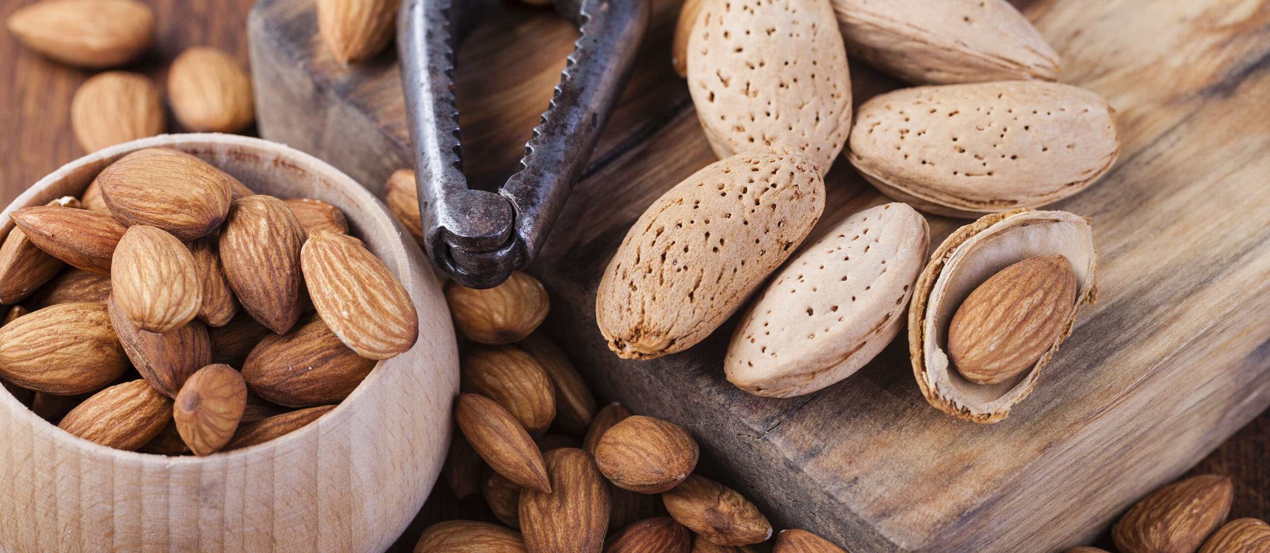 بادام سنگی چیه