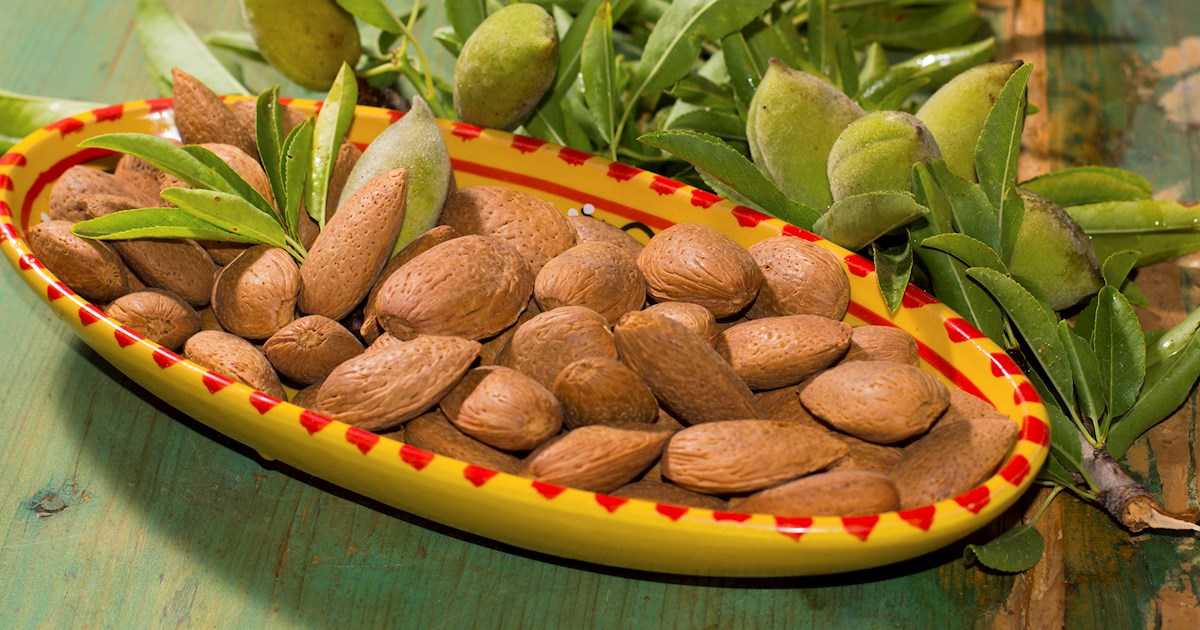 بادام سنگی چیه