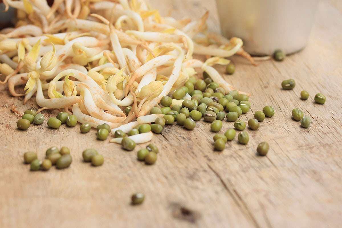 فواید جوانه ماش برای بدنسازی