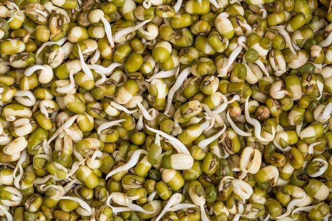 طرز تهیه جوانه ماش