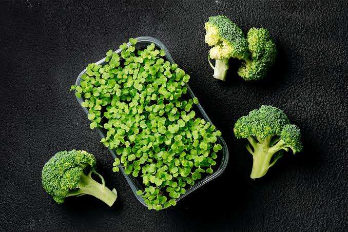 کلم بروکلی و سبزی 