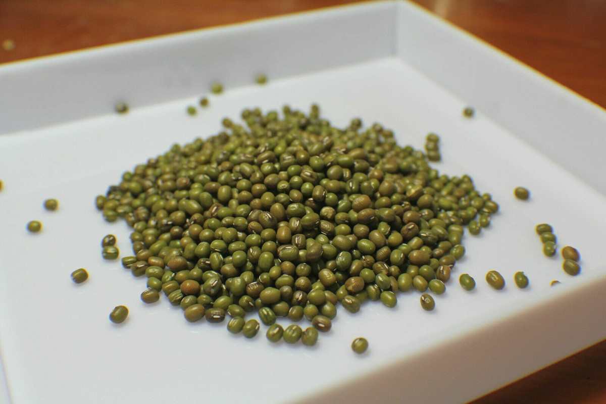 خرید بهترین ماش